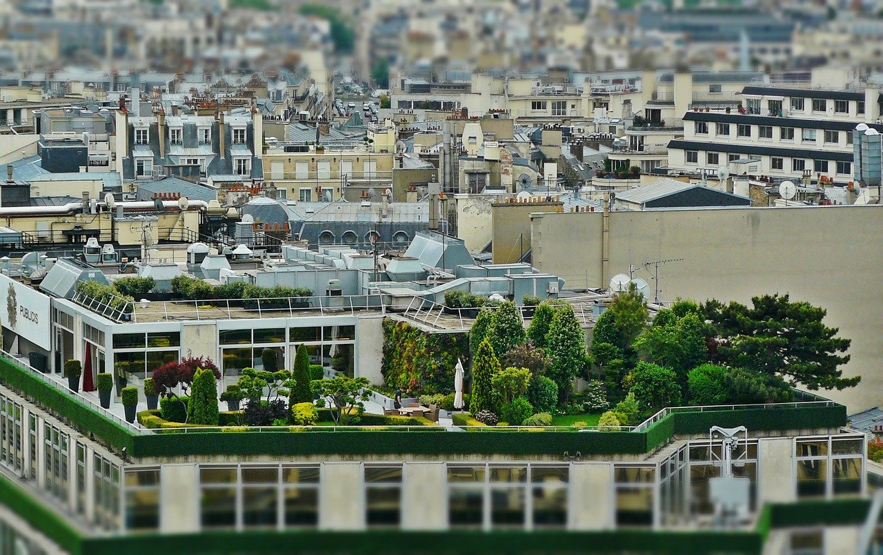 small useful garden on the rooftop