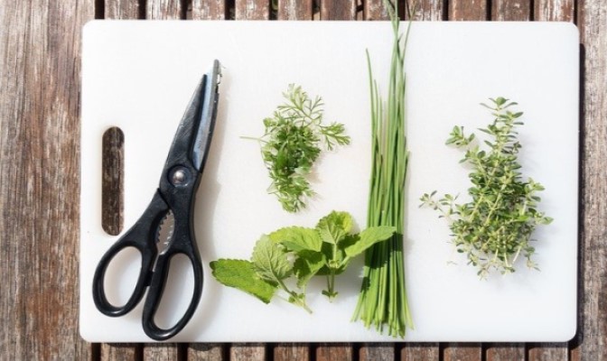 how to create a kitchen herb garden